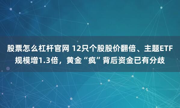 股票怎么杠杆官网 12只个股股价翻倍、主题ETF规模增1.3倍，黄金“疯”背后资金已有分歧